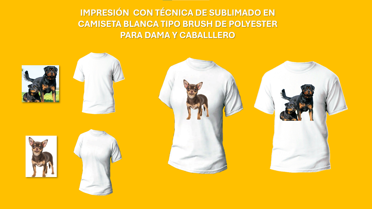 Camiseta2